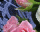 #ub361b06629s#