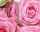 #ub361b0bb29s#