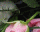 #ub361b3a129s#